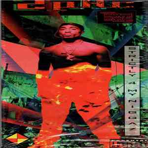 2Pac - Strictly 4 My N.I.G.G.A.Z. download free