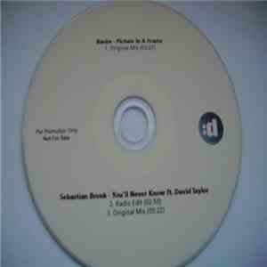Basim  / Sebastian Bronk Ft. David Taylor  - Picture In A Frame / You'll Never Know download free
