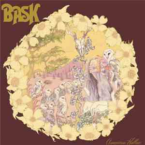 Bask  - American Hollow download free