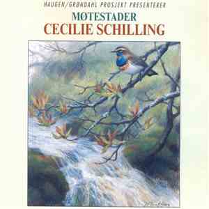 Cecilie Schilling, Haugen / Grøndahl Prosjekt - Møtestader download free