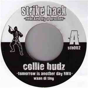 Collie Budz / Alborosie - Tomorrows Another Day Rmx / Police Rmx download free