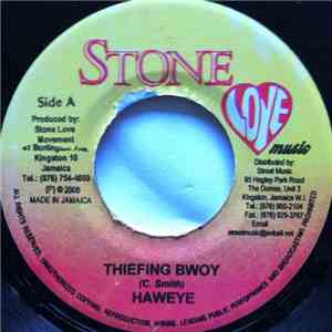 Hawkeye  / Ricky Ticky - Thiefing Bwoy / Road Is Ruff download free