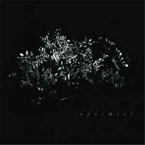 Kelly Moran - Optimist download free
