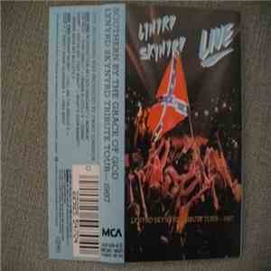 Lynyrd Skynyrd - Southern By The Grace Of God: Lynyrd Skynyrd Tribute Tour 1987 download free