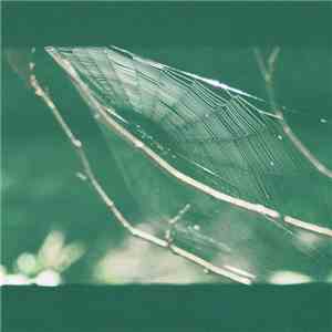 Olga Shaydullina + Stanislav Vdovin - Magic Carpet download free