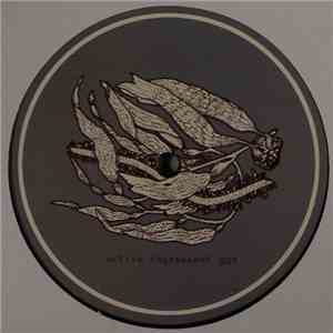 Psimurgh - Hysterikal EP download free