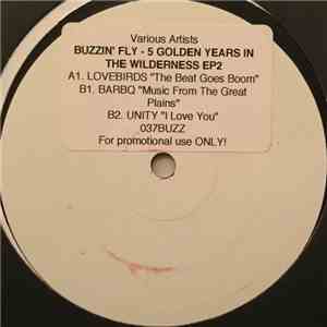 Various - Buzzin' Fly - 5 Golden Years In The Wilderness EP 2 download free