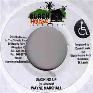 Wayne Marshall / Sanjay  - Smoking Up / Hush download free
